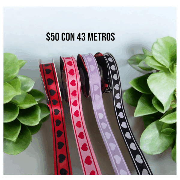 Listón DE 1 CM y Estampado - Imagen 8